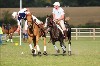 UKPA  NC Sat_1627